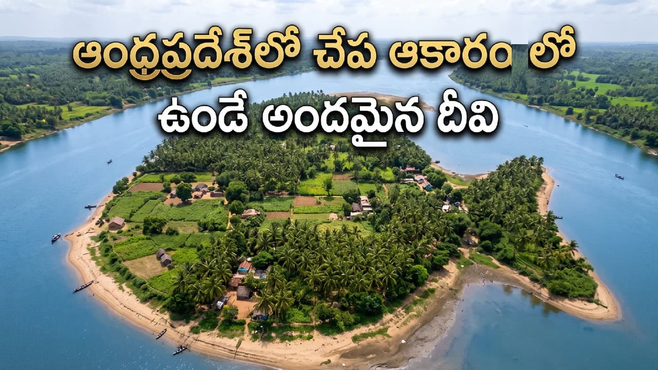 గోదావరి నదిలో వింత దీవి గోదావరి నదిలో వింత దీవి
