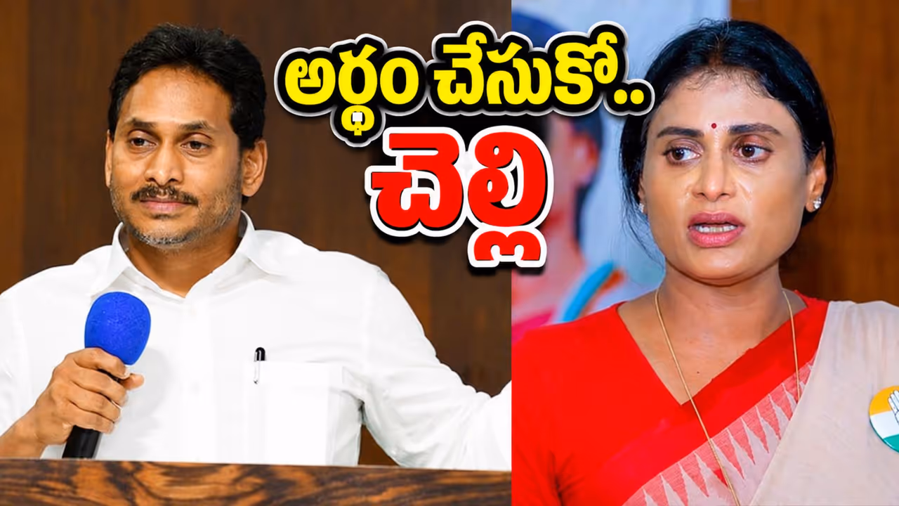 నవంబర్ 25న అంజలి రెడ్డి వివాహం నవంబర్ 25న అంజలి రెడ్డి వివాహం