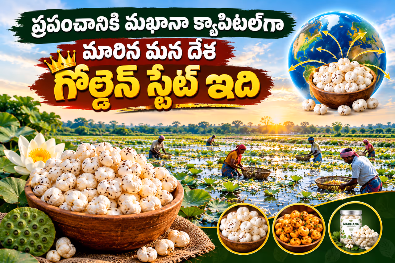 మఖానా గోల్డెన్ స్టేట్.. మఖానా గోల్డెన్ స్టేట్..