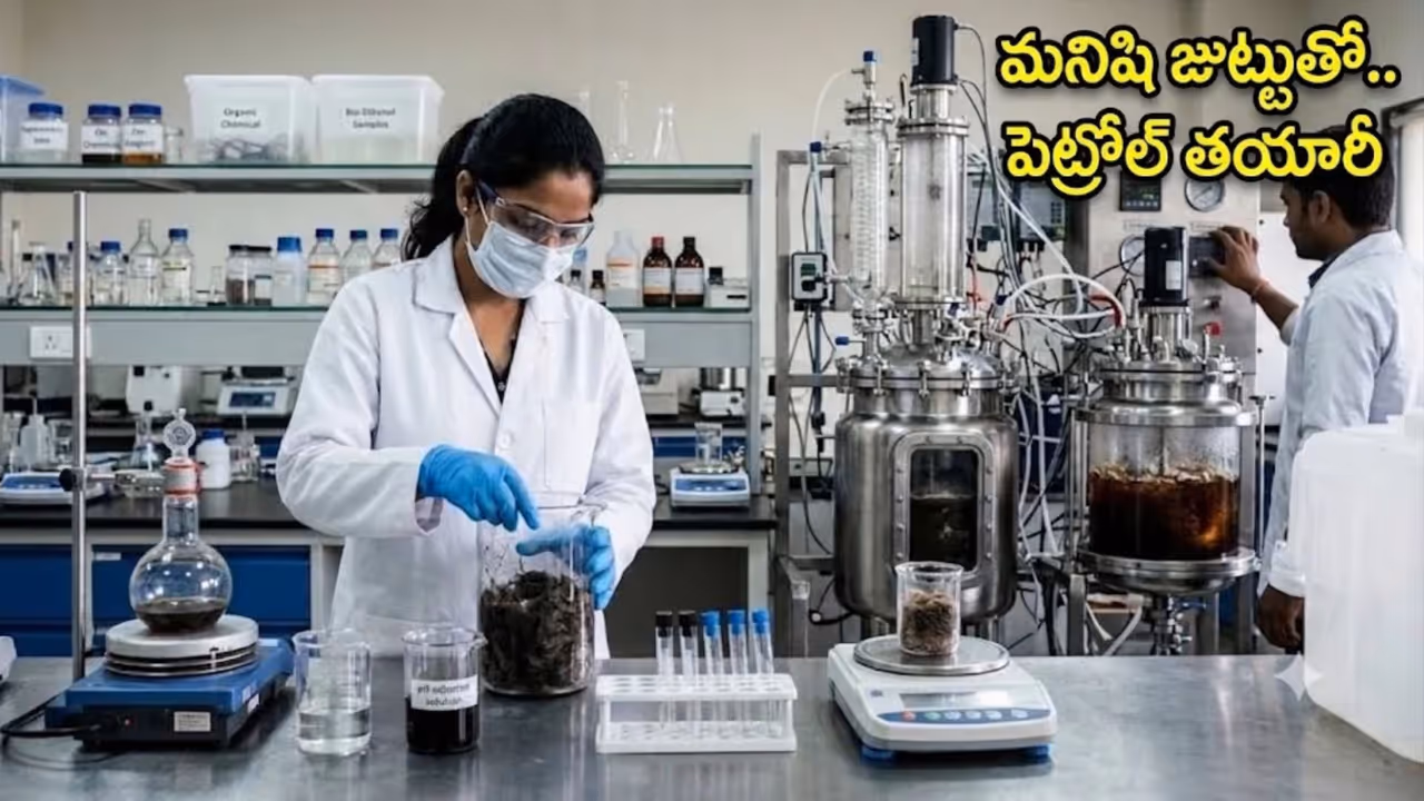 మనిషి జుట్టుతో ఇథనాల్ తయారీ.. గుజరాత్ స్టార్టప్ కొత్త ప్రయోగం మనిషి జుట్టుతో ఇథనాల్ తయారీ.. గుజరాత్ స్టార్టప్ కొత్త ప్రయోగం