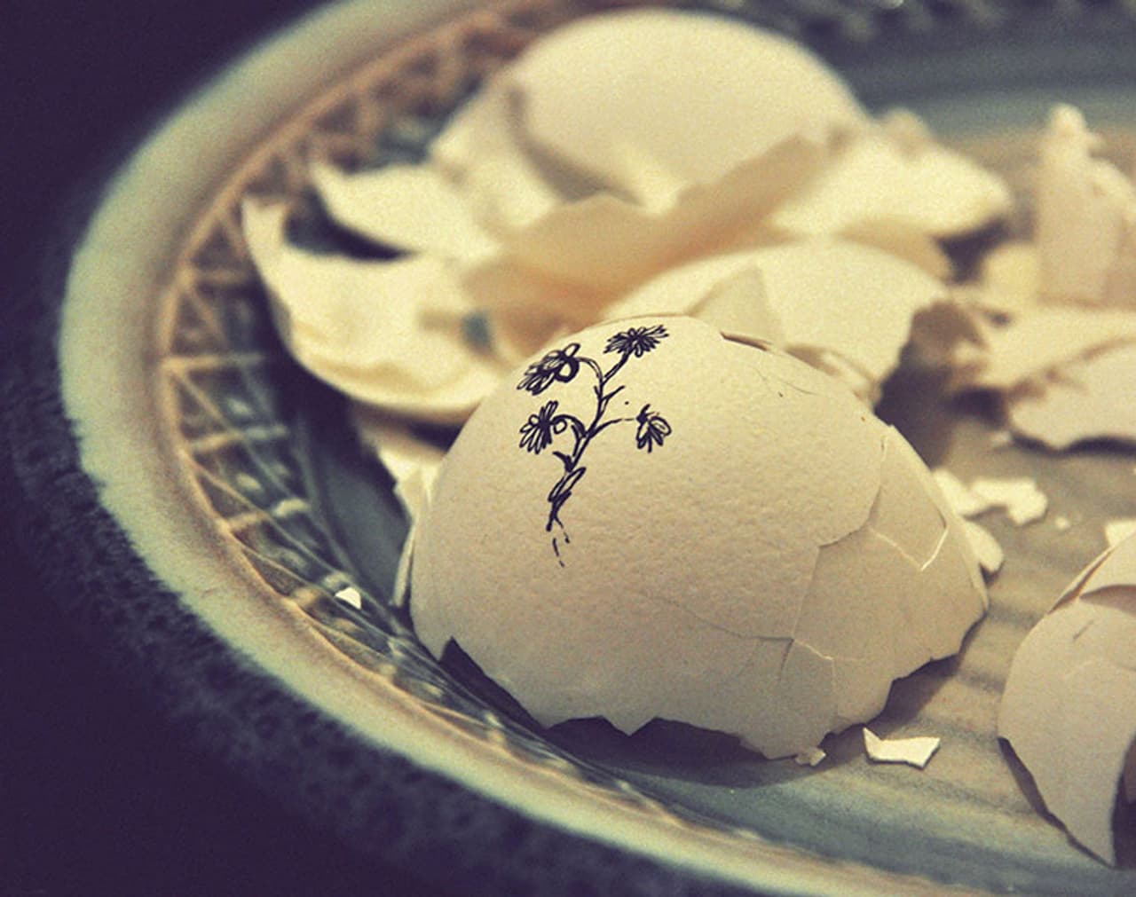 <p><strong>House cleanser:</strong> Add some soapy water with ground eggshells and place it at spots that are tough to get rid off, and watch them sparkle and shine.<br />&nbsp;</p>