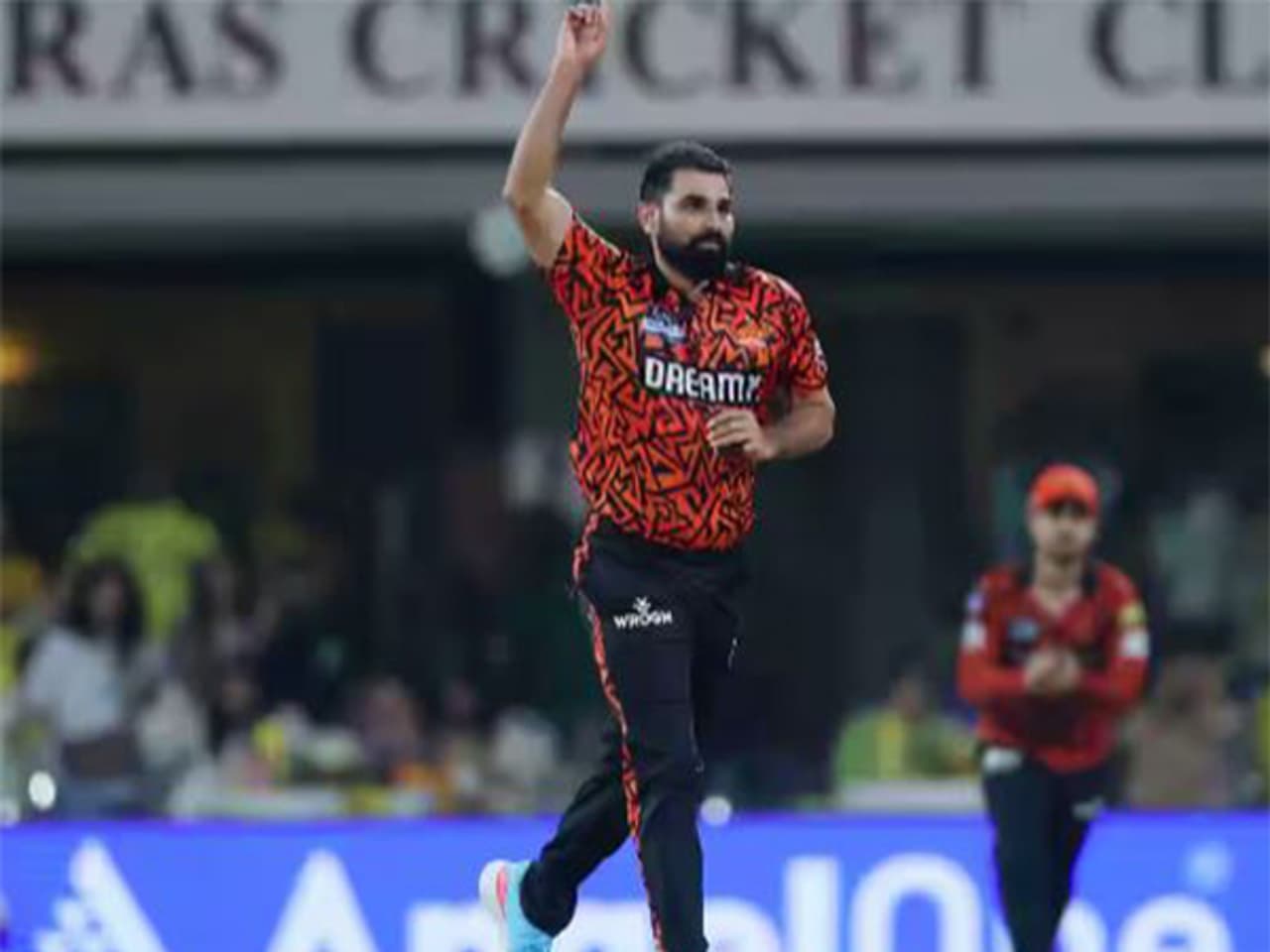 Mohammed Shami. (Photo IPL)