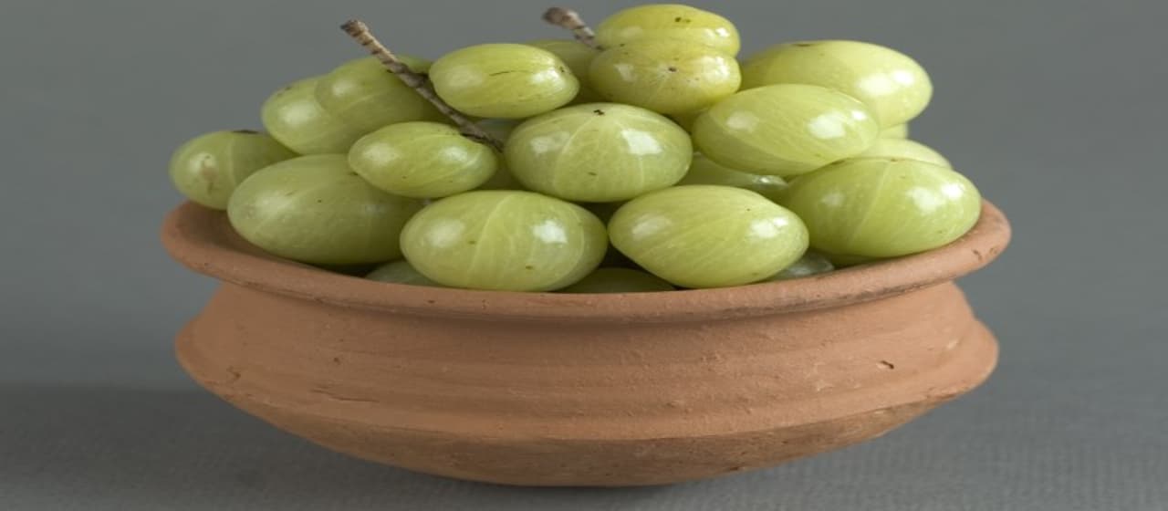 Amla And Honey Benefits In Tamil Amla And Honey Benefits In Tamil