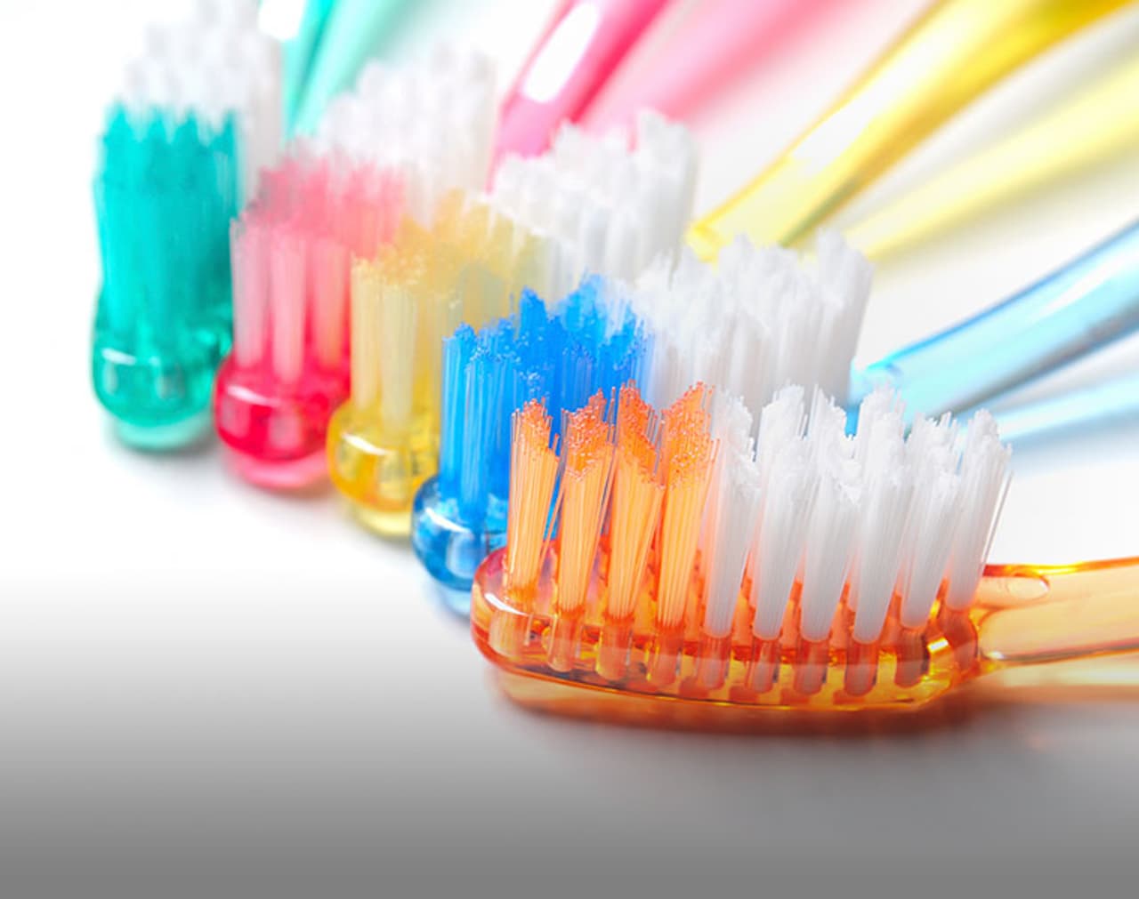 Tooth Brush Tooth Brush