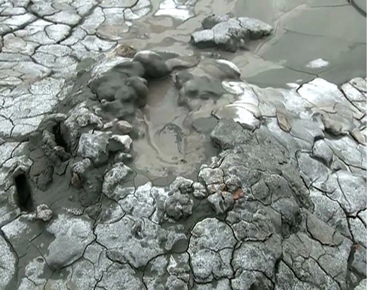 <p><strong>Mud:</strong> Yes, surprisingly mud is an effective ingredient against a bee sting. Just grab some mud and mix with water. Wait for it to dry and rinse off.</p> <p><strong>Mud:</strong> Yes, surprisingly mud is an effective ingredient against a bee sting. Just grab some mud and mix with water. Wait for it to dry and rinse off.</p>