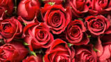 Recommended image1