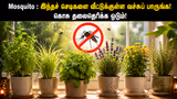 Recommended image2