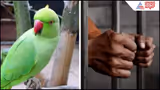 Recommended image1