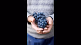Black Grapes Benefits: কালো আঙুরের ৮টি দারুণ স্বাস্থ্যগুণ