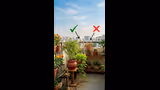 Recommended image2