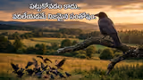 Recommended image2