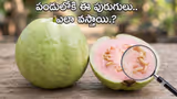 Recommended image2