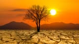 Man-made climate change gave half the world an extra month of extreme heat: Study