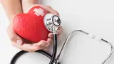 Health Guide: 7 Easy Lifestyle Changes To Prevent Heart Diseases