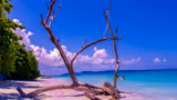 Andaman Travel Care Recognized for Customized Andaman Tour Packages and Honeymoon Travel Experiences