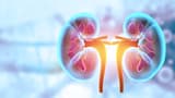Health Guide: 6 Common Foods That Can Damage Your Kidneys