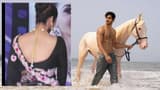 53 ఏళ్ల టాలీవుడ్ హీరోయిన్ తో 29 ఏళ్ల యంగ్ హీరో రొమాన్స్, ఎవరా స్టార్స్, ఏంటా సినిమా?