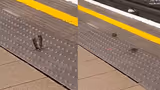 Recommended image1