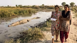 Teen Girl Fights Off Crocodile With Bare Hands Near UP River, Escapes Alive