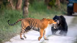 Recommended image1
