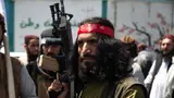 Explained: Why Taliban-Controlled Afghanistan Raises Fears of Global Terrorism and the Return of 9/11 Conditions