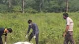 ഡൽഹിയിൽ 16-കാരിയെ കൂട്ടബലാത്സംഗംചെയ്ത് കൊലപ്പെടുത്തി, മൃതദേഹം അഴുകിയനിലയിൽ; പ്രായപൂർത്തിയാകാത്ത മൂന്നുപേർ ഉൾപ്പെടെ നാലുപ്രതികൾ പിടിയിൽ