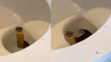Recommended image1