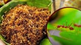Red Ant Chutney: ఎర్ర చీమల పచ్చడిని అంత ఇష్టంగా ఎందుకు తింటారు? రుచి ఎలా ఉంటుంది?