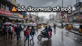 Weather Update: బంగాళాఖాతంలో అల్పపీడనం అలర్ట్.. ఈ ప్రాంతాల్లో మరో 3 రోజులు భారీ వర్షాలు