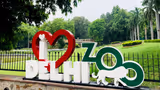 Delhi Zoo To Reopen: लंबे इंतजार के बाद खुलेगा दिल्ली का चिड़ियाघर, आखिर इतने दिनों से क्यों था बंद?