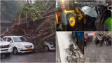 ಮಳೆ-ಗಾಳಿಗೆ ಬಿದ್ದ ಮರಗಳನ್ನು ತೆರವು ಮಾಡಲು ಪಾಲಿಕೆ ಸಿಬ್ಬಂದಿ ಕೊರತೆ