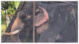 Recommended image1
