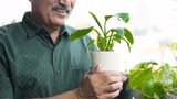 Recommended image1