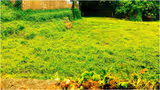 Recommended image1