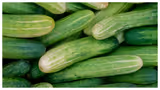 Cucumber: ఫ్రిజ్ లో పెట్టినా కీరదోస పాడైపోతోందా? ఇలా చేస్తే నెలరోజులైనా తాజాగా ఉంటాయి
