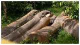 Recommended image1