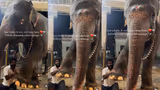 Recommended image2