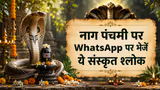 Nag Dev Sanskrit Shlok Wishes: नाग पंचमी पर WhatsApp पर भेजें ये संस्कृत श्लोक, पढ़ते ही गूंज उठेगा ‘ॐ नागाय नमः’
