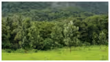 ವನವೈಭವ  : ಅರಣ್ಯ ಇಲಾಖೆಗೆ ಸೈಂಟಿಸ್ಟ್‌ ಸ್ಟಾಫ್‌ನಿಂದ ಹೊಸ ವರ್ಚಸ್ಸು