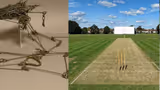 Cricket ಸಮರಕ್ಕೆ '22 ಯಾರ್ಡ್ಸ್ ಸೂಕ್ತವೆಂದಿದ್ದೇಕೆ?: ಇಲ್ಲಿದೆ ಈ ಟೆಕ್ನಿಕಲ್ ಕಂಪ್ಲೀಟ್ ಹಿಸ್ಟರಿ!