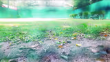 Recommended image2