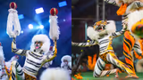 Pili Nalike in Mangaluru: Tiger Dances, Daring Stunts and Spectacular Feats Steal the Show (WATCH)