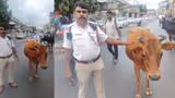 Recommended image2