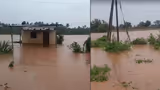 ಬರಗಾಲದಲ್ಲೂ ಭರದ ಮಳೆ - ಮಲೆನಾಡು, ಕರಾವಳಿಯಲ್ಲಿ ಧಾರಾಕಾರ ಮಳೆಗೆ 4 ಬಲಿ