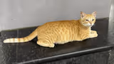 Recommended image1