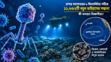 সমুদ্রের ৬ কিলোমিটার গভীরে ১১,৬৬২টি নতুন ভাইরাসের সন্ধান! কী বলছেন বিজ্ঞানীরা?