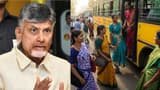 Free Bus Travel: ఆగస్టు 15 నుంచి ఉచిత బస్సు ప్రయాణం.. గుడ్ న్యూస్ చెప్పిన సీఎం చంద్ర‌బాబు.. కీలక ఆదేశాలు