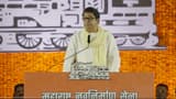 राज ठाकरेंनी भाजपच्या 'या' नेत्याच्या राजीनाम्याची केली मागणी, मुख्यमंत्र्यांना लिहिलं पत्र