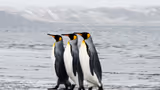 Recommended image1