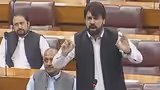 Pakistan MP calls PM Shehbaz Sharif 'coward' over silence on Modi amid Operation Sindoor fallout